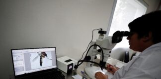 نحوه مبارزه آرژانتین با شیوع تب دانگ از طریق تشعشعات اتمی