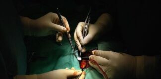 دریافتکنندگان قلب از اهداکنندگان مبتلا به کووید در معرض خطر مرگومیر بیشتری قرار دارند