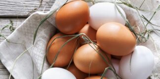 آیا تخممرغهای قهوهای سالمتر از تخممرغهای سفید است؟
