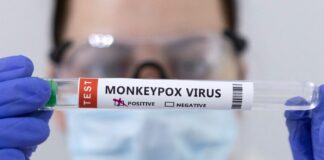 پایان وضعیت اضطراری آبله میمون در جهان