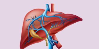 چند نکته مهم برای تضمین سلامت کبد