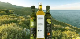 ۱۰ بهترین روغن زیتون در جهان