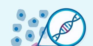 یک روش جدید، دقت توالییابی DNA را برای شناسایی جهشهای ژنتیکی نادر هزار برابر بیشتر میکند