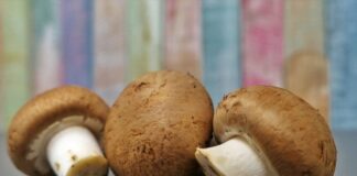 مصرف قارچ برای مبتلایان به فشار خون بالا مفید است