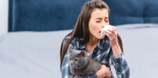 ترکیب یک واکسن و یک آنتیبادی میتواند آلرژی نسبت به گربه را در انسان کاهش دهد