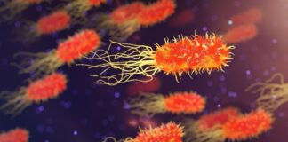 دانشمندان ابرهای حامل باکتریهای مقاوم به دارو را کشف کردند