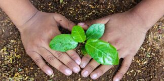 پنجم ژوئن، روز جهانی محیط زیست