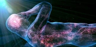 شناسایی اتصالات شبکه مغز مرتبط با آنوسوگنوزیا