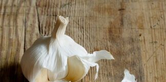 فواید شگفتانگیز و عوارض احتمالی مصرف سیر