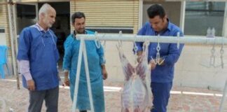 توصیههای وزارت بهداشت در آستانه عید قربان