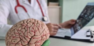 داروی آزمایشی vorasidenib پیشرفت تومور را در مبتلایان به سرطان مغز به میزان قابلتوجهی کُند کرد