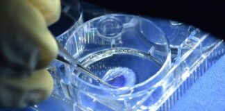 خودکفایی در تولید قرنیه مصنوعی