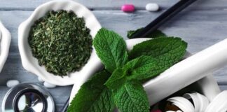 ایران رتبه چهارم طب سنتی در دنیا