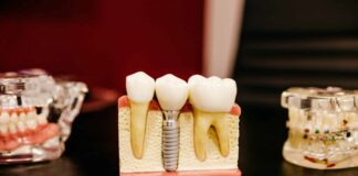 ساخت یک داروی جدید برای رویش مجدد دندانها