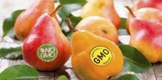 تأکید رئیس فرهنگستان علوم پزشکی به برچسبگذاری محصولات تراریخته