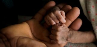 پس از سالها جنگ، گرسنگی در منطقه تیگرای سایه افکنده است