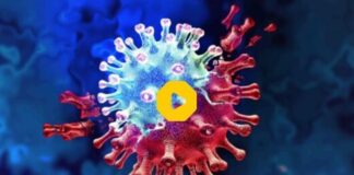 رصد روزانه وضعیت کرونا در کشور