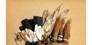 اجلاس دو روزه جهانی طب سنتی سازمان جهانی بهداشت در کنار نشست وزرای بهداشت گروه ۲۰ در شهر گاندینگر هند برگزار شد