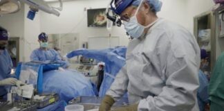 کلیه خوک پیوندی در بدن فرد دچار مرگ مغزی با گذشت یک ماه کار میکند