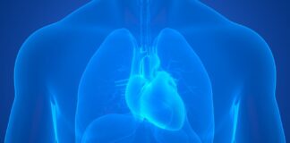 نتایج یک مطالعه: تفاوت علائم ایست قلبی در زنان و مردان