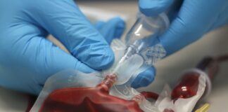 سازمان انتقال خون ۶۰ درصد از پلاسمای مورد نیاز تهیه داروها را تأمین میکند