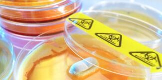 یک داروی آنتیبیوتیکی جدید میتواند تحولی بزرگ در درمان آکنه ایجاد کند