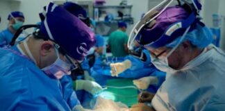 طولانیترین پیوند موفقیتآمیز کلیه یک خوک به یک انسان