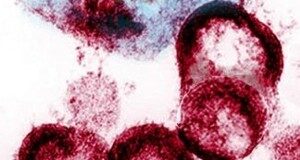 داروی سرطان خون venetoclax نویدبخش درمان مبتلایان به اچآیوی