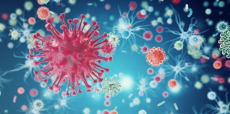 افزایش ۱۵ درصدی ابتلا به کرونا در خراسان جنوبی