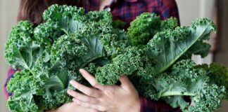 برای رفع خستگی و افزایش انرژی چه مواد غذاییای مصرف کنیم؟