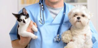 ۱۴ مهر؛ روز ملی دامپزشکی