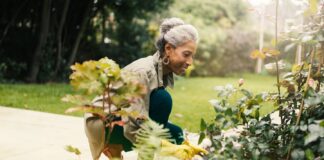 ورزش مختصرِ روزانه میتواند خطر مرگ ناشی از نشستن زیاد را کاهش دهد