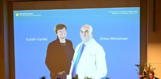 دانشمندان مجارستانی و آمریکایی برنده جایزه نوبل پزشکی ۲۰۲۳