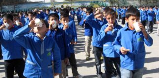 بهزودی؛ توزیع شیر رایگان در مدارس