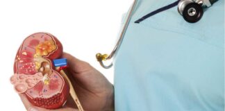 ۸ عادت غلط که سبب بروز سنگ کلیه میشود