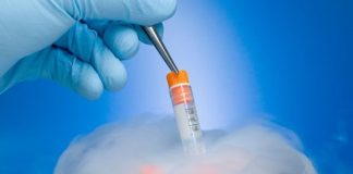 شرایط برقراری پوشش بیمهای فریز تخمک و رحم اجارهای