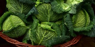 ۶ ماده غذایی برای کمک به افزایش روحیه مبتلایان به اختلال عاطفی فصلی