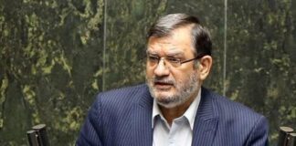 روحالامینی: ظرفیت تولید شیرخشک در کشور دو برابر نیاز است