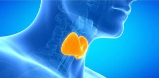 چهار اقدام برای کمک به سلامت تیروئید