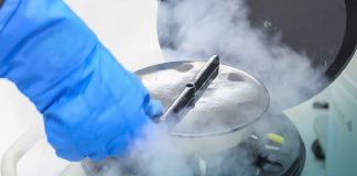 فریز تخمک برای دختران مجرد بالای ۳۰ سال مشمول بیمه پایه میشود