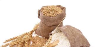 پیشنهاد غنیسازی آرد با ویتامین D