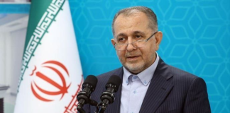 عارف نوروزی مدیرعامل جدید شستا شد