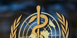 سازمان جهانی بهداشت: خطر سویه JN.۱ برای سلامت عمومی کم است