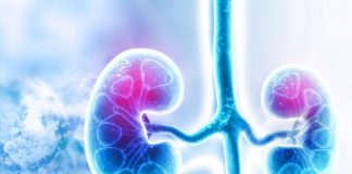 جزئیات خدمات تحتپوشش صندوق بیماریهای صعبالعلاج برای بیماران کلیوی