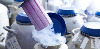 هزینه فریز تخمک چقدر میشود؟