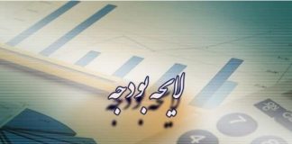 نرخ محاسباتی ارز واردات کالاهای اساسی و دارو ۳۱ هزار تومان