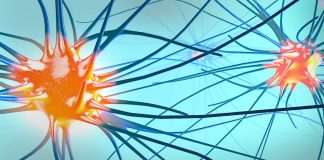 داروی Wainua برای درمان آسیب عصبی ناشی از یک بیماری نادر تایید شد