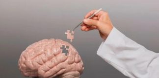 توصیههای طب ایرانی برای جلوگیری از بروز و پیشرفت آلزایمر