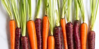 فواید هویج برای سلامتی