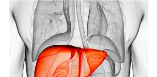 ۶ عامل خاموش بروز سرطان کبد